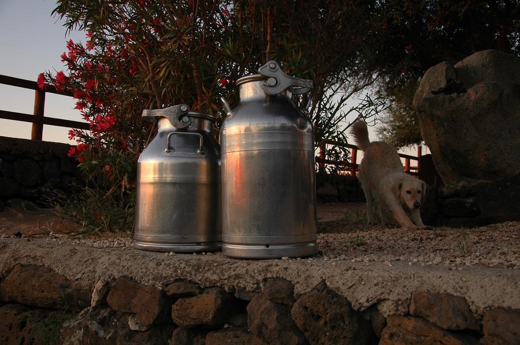 Agriturismo Codula Fuili Cala Gonone Exteriör bild
