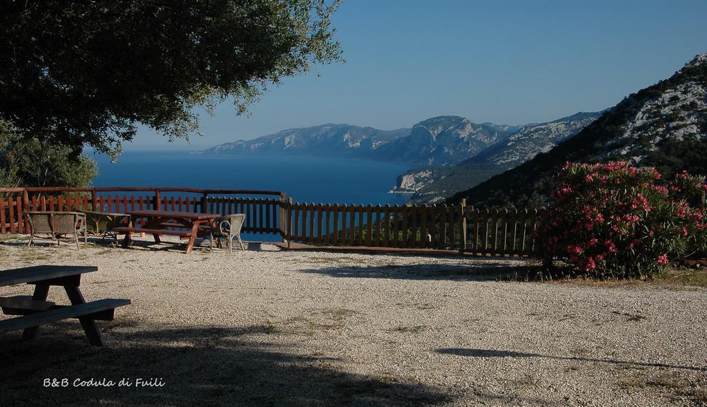 Agriturismo Codula Fuili Cala Gonone Rum bild